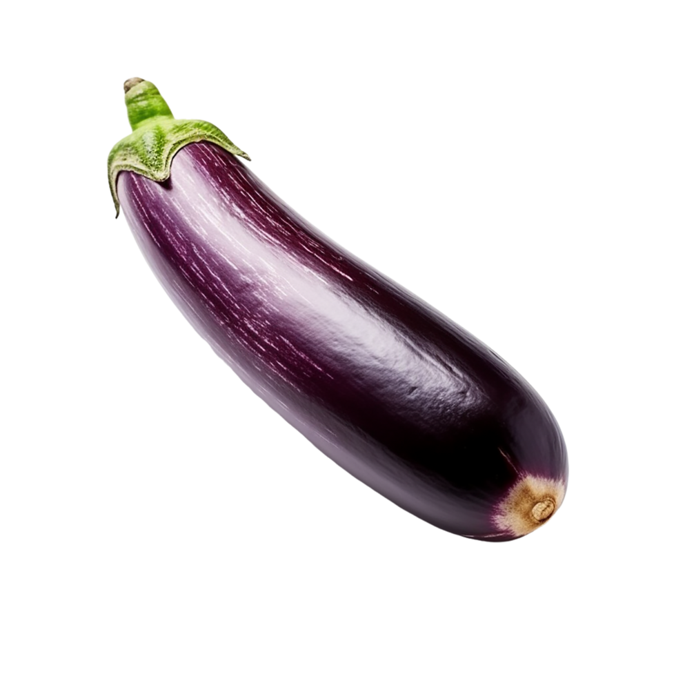 Aubergine 