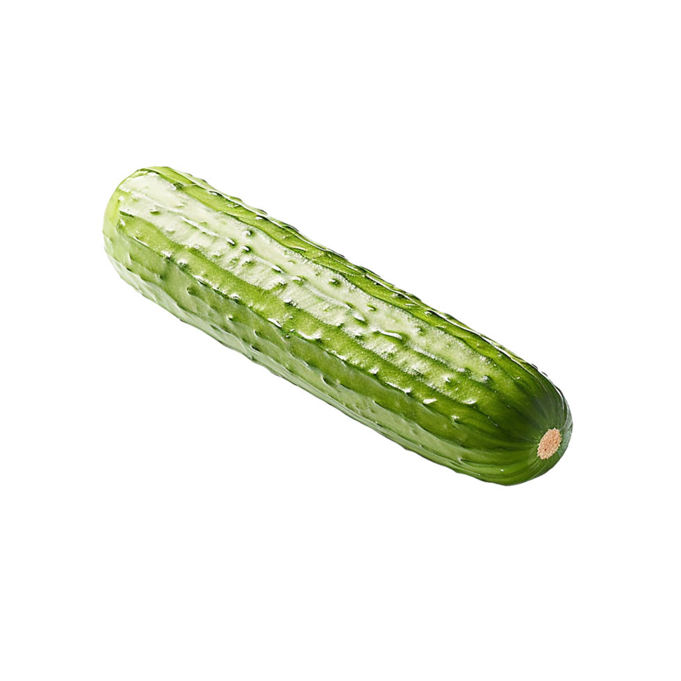 Concombre 
