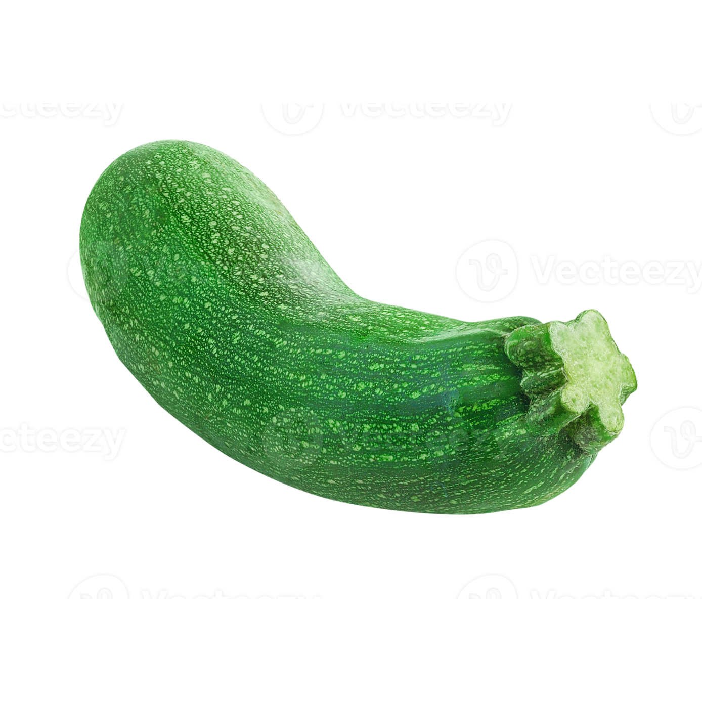 Courgette