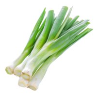 Poireau 
